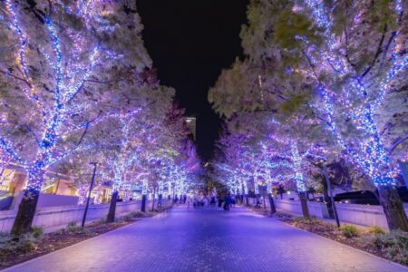 年末年始休業のお知らせ
